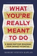 What You're Really Meant to Do (Chinese) What You're Really Meant to Do (Chinese)