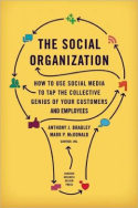 The Social Organization The Social Organization